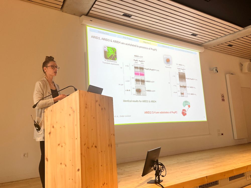 Results presentation