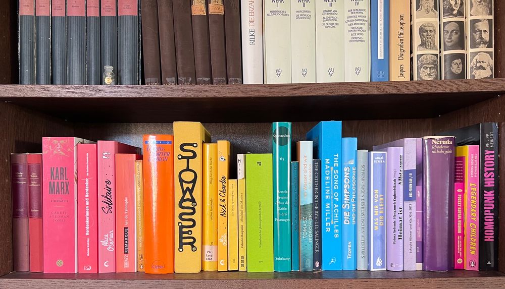 Zu sehen sind zwei Regalbretter. Im unteren wurden die Bücher nicht thematisch sondern nach den Farben der Pride flag sortiert. 