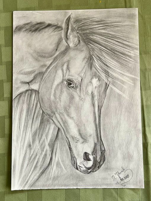 This One...
by my Magic Pencil
@magidashworkss.blue.social
I Draw this And You Like On X(Tweeter)