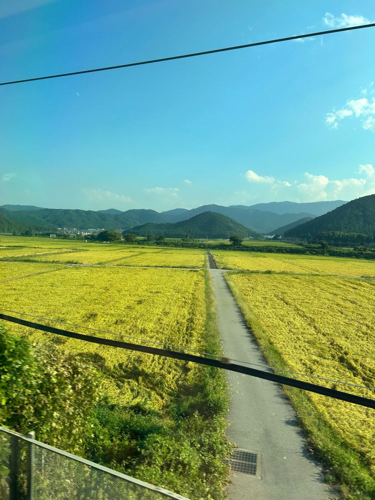 Scenery of Japanese countryside with mountains in the background