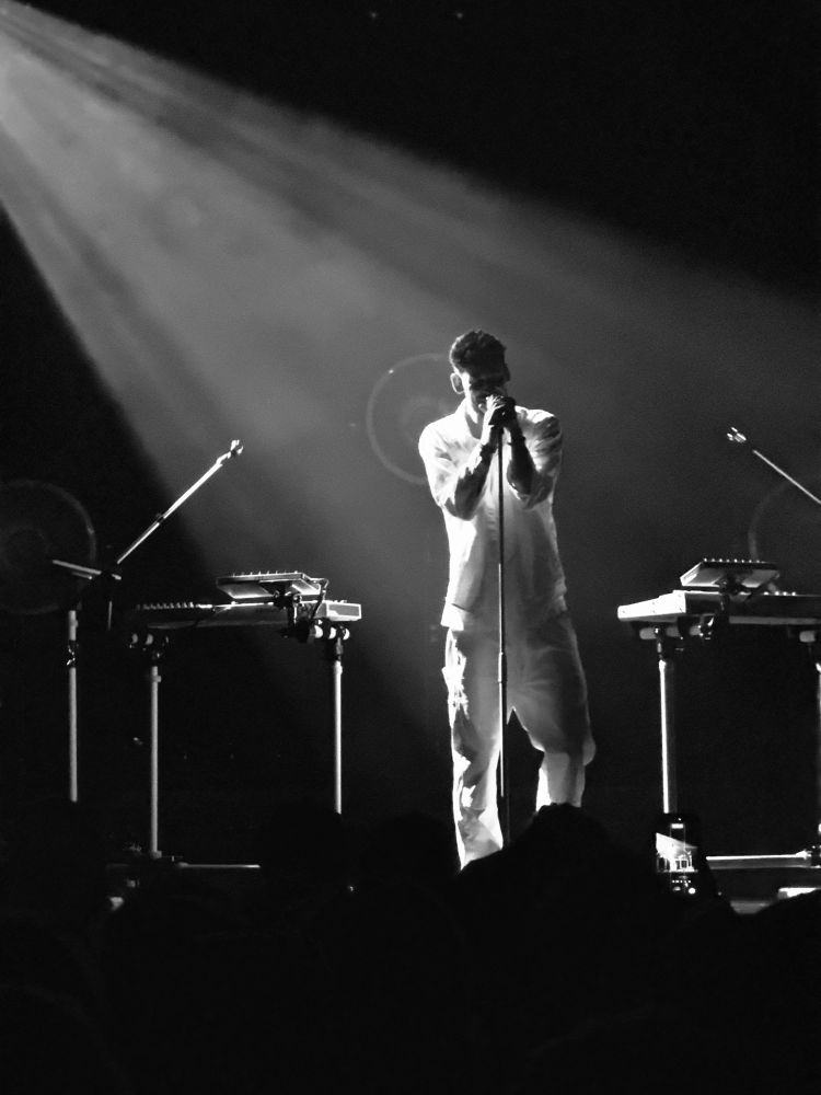 vandelux performing at the el rey

standing in a spotlight between 2 racks of synths 