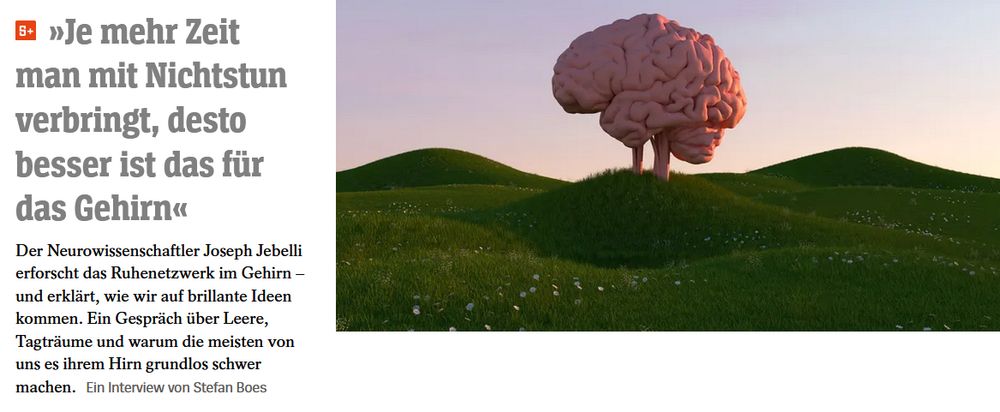 SPIEGEL online-Interview: "»Je mehr Zeit man mit Nichtstun verbringt, desto besser ist das für das Gehirn«
Der Neurowissenschaftler Joseph Jebelli erforscht das Ruhenetzwerk im Gehirn – und erklärt, wie wir auf brillante Ideen kommen. Ein Gespräch über Leere, Tagträume und warum die meisten von uns es ihrem Hirn grundlos schwer machen."
