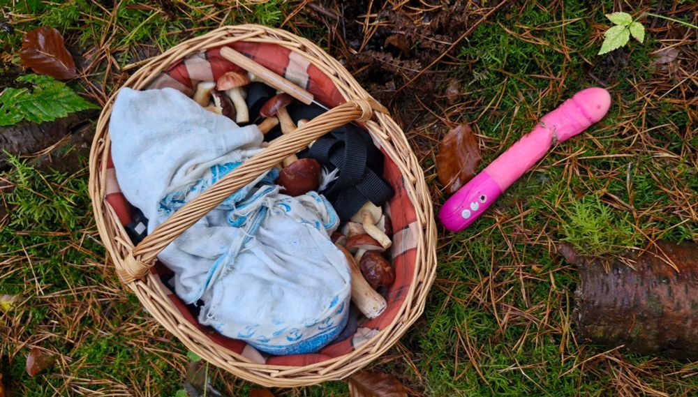 Ein Korb mit ein paar Pilzen, daneben ein im Wald zurückgelasser Dildo in pink.