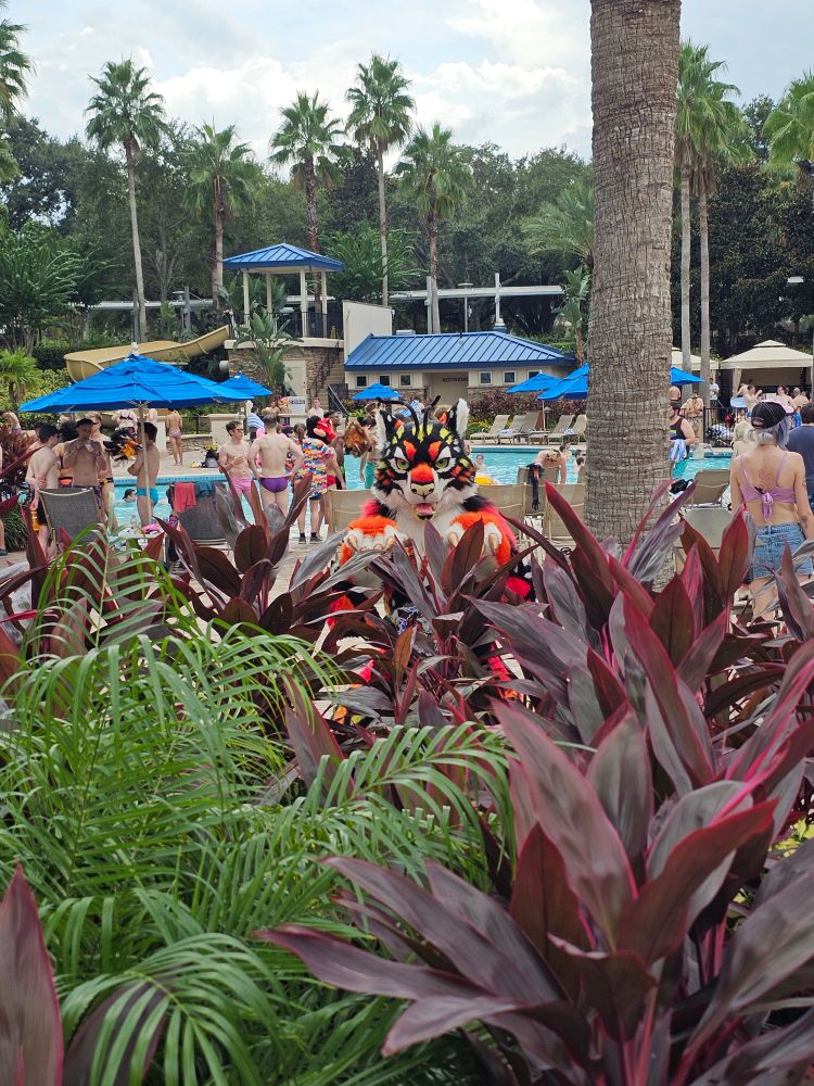 Enzo M. Tiger fursuiter peeking through the greenery at the Megaplex pool, scoping his next meal