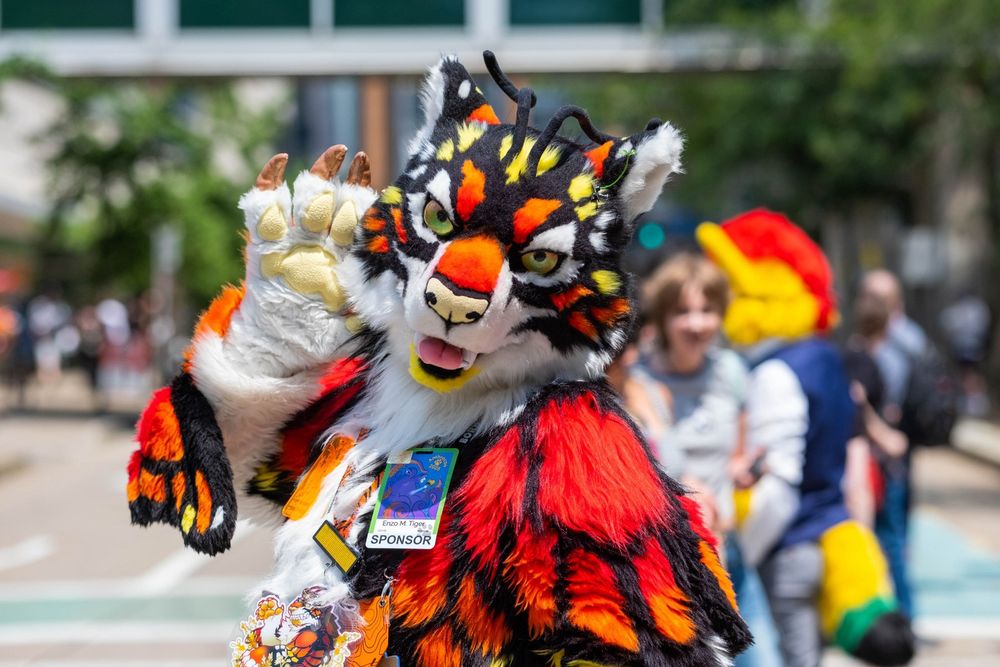 Enzo M. Tiger fursuiter posing, sassily for the camera, with one paw raised, while at the Anthrocon 2025 block party