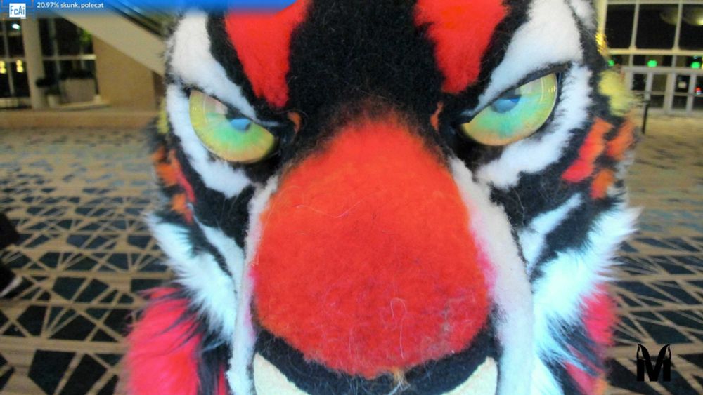 Super close up FurconAI photo of Enzo M. Tiger fursuiter from last year’s Megaplex