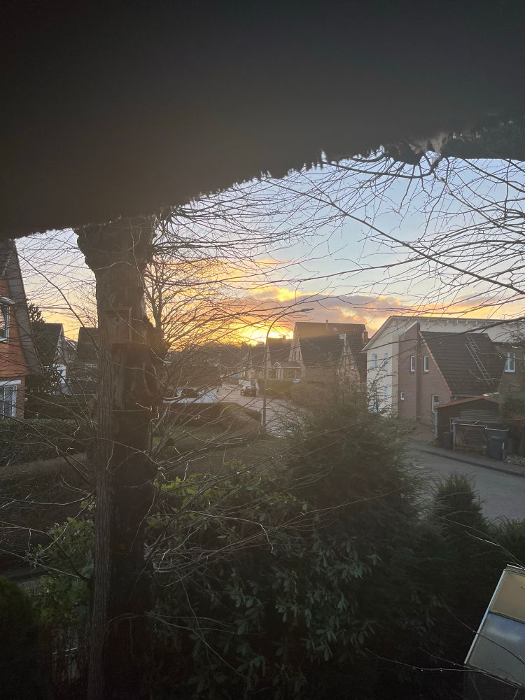 A view from a window with the sunrise in the background. Houses , trees and cars.
