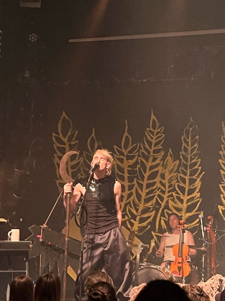 The musician Patrick Wolf on a stage in a golden light.Heads of the audience in the foreground 