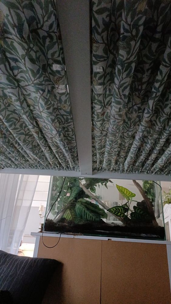 New bird print curtains on the underside of a loft. Terrarium on the end.