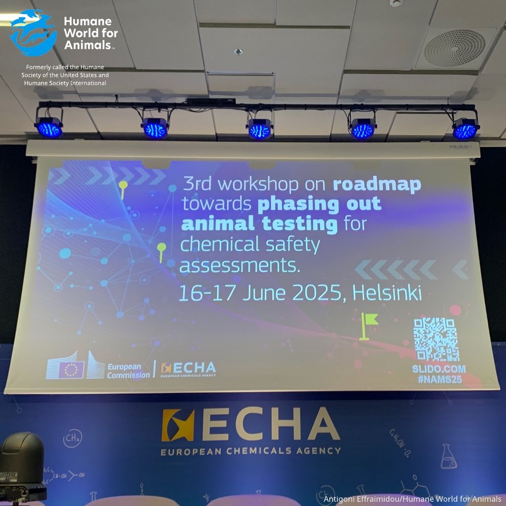 Picture of screen showing name of event. 