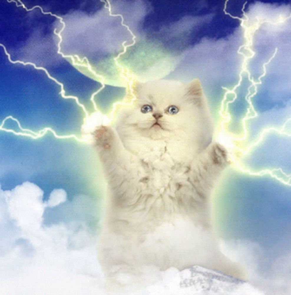 a white cat is surrounded by lightning bolts