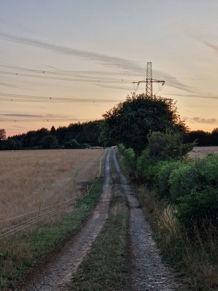 A country track at dusk, bordered on one side by a great field and green hedges on the other, leading alongside a field to a tall electricity pylon 