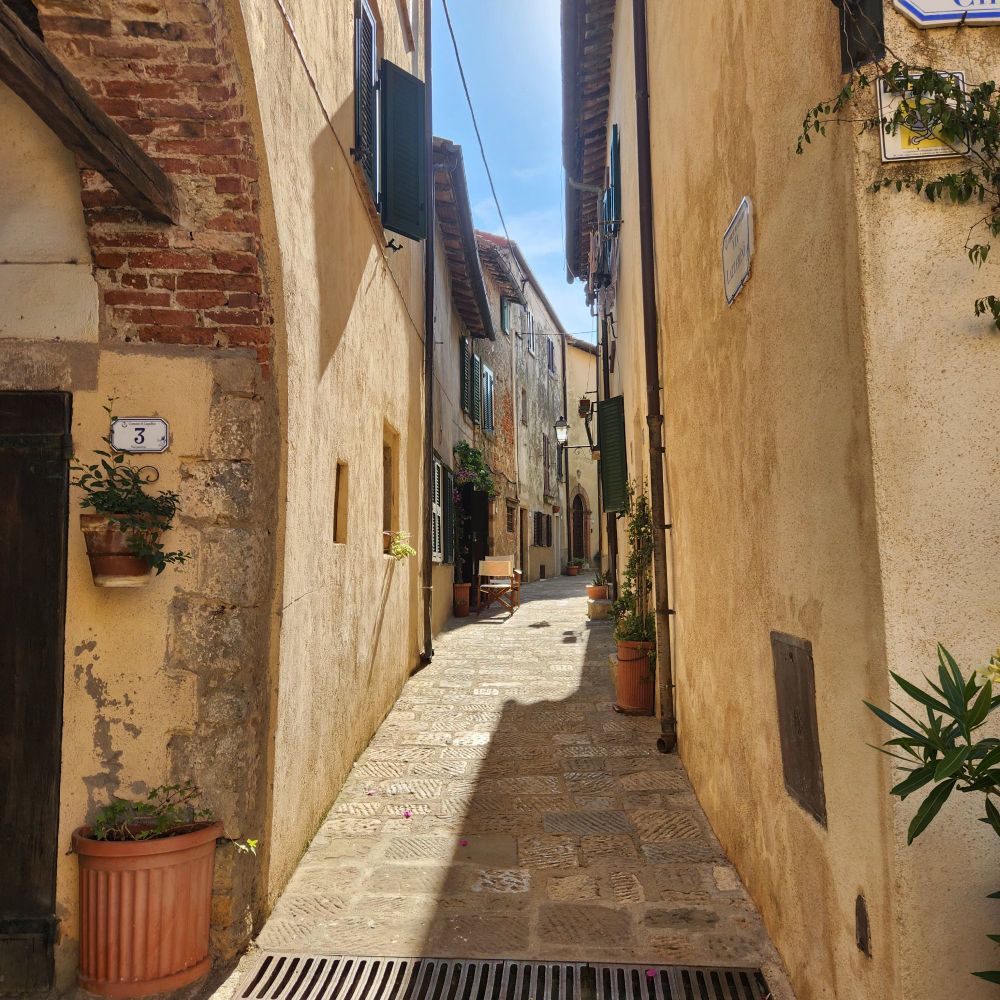 Narrow cobblestone alleyway lined with rustic buildings, featuring potted plants and wooden shutters. Sunlight casts shadows on the warm stone walls, creating a charming atmosphere.