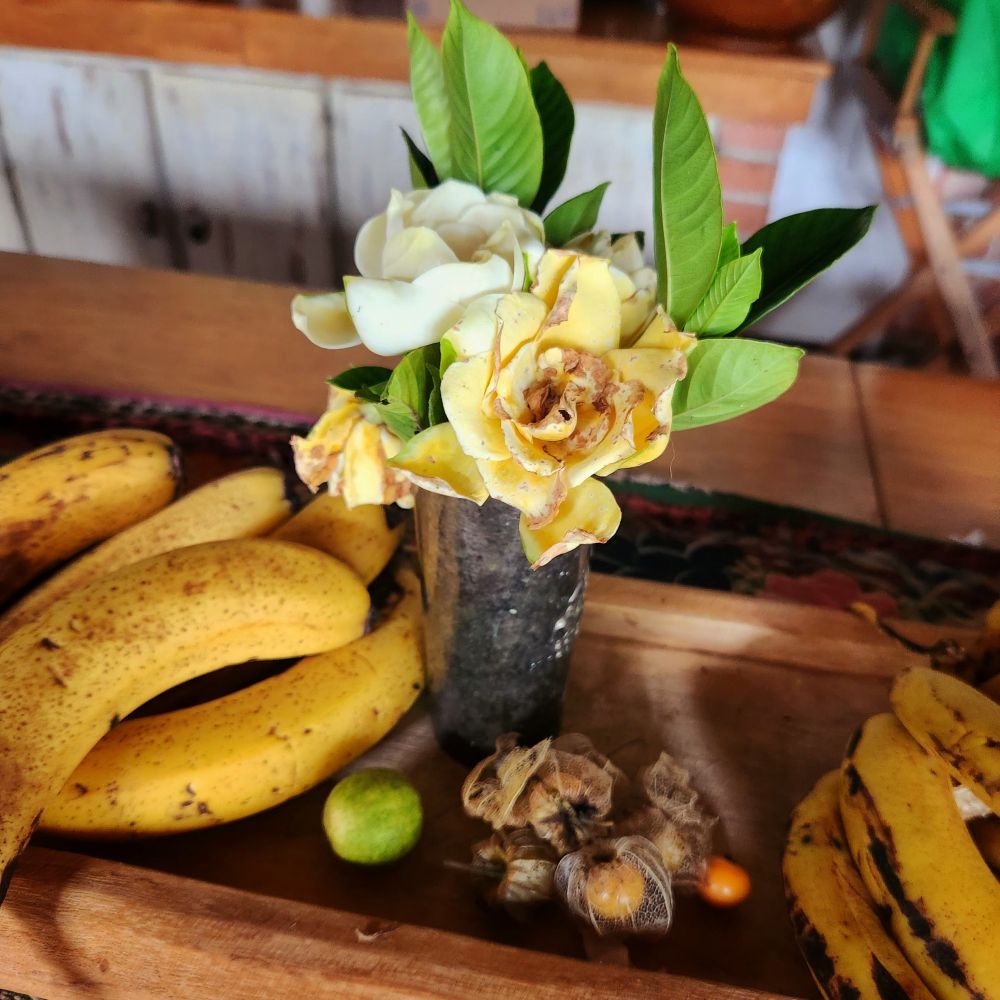 Picture of a tabletop with some gardenias in a small metal glass