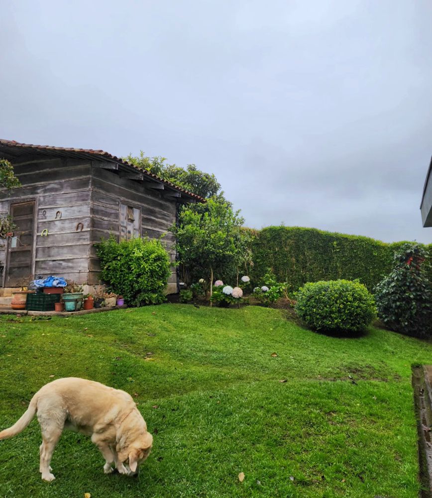 Picture of a wooden shed and my Labrador dog with a cloudy sky behind