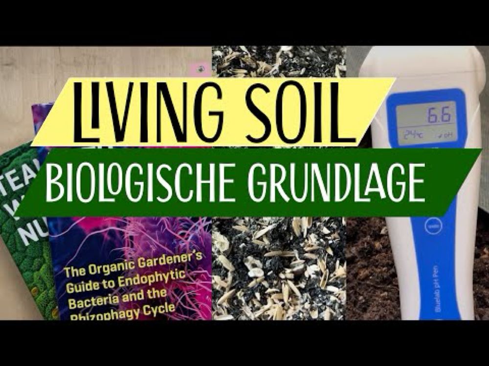 Perfekte Living Soil | jahrelang wiederverwendbar ohne zu Düngen