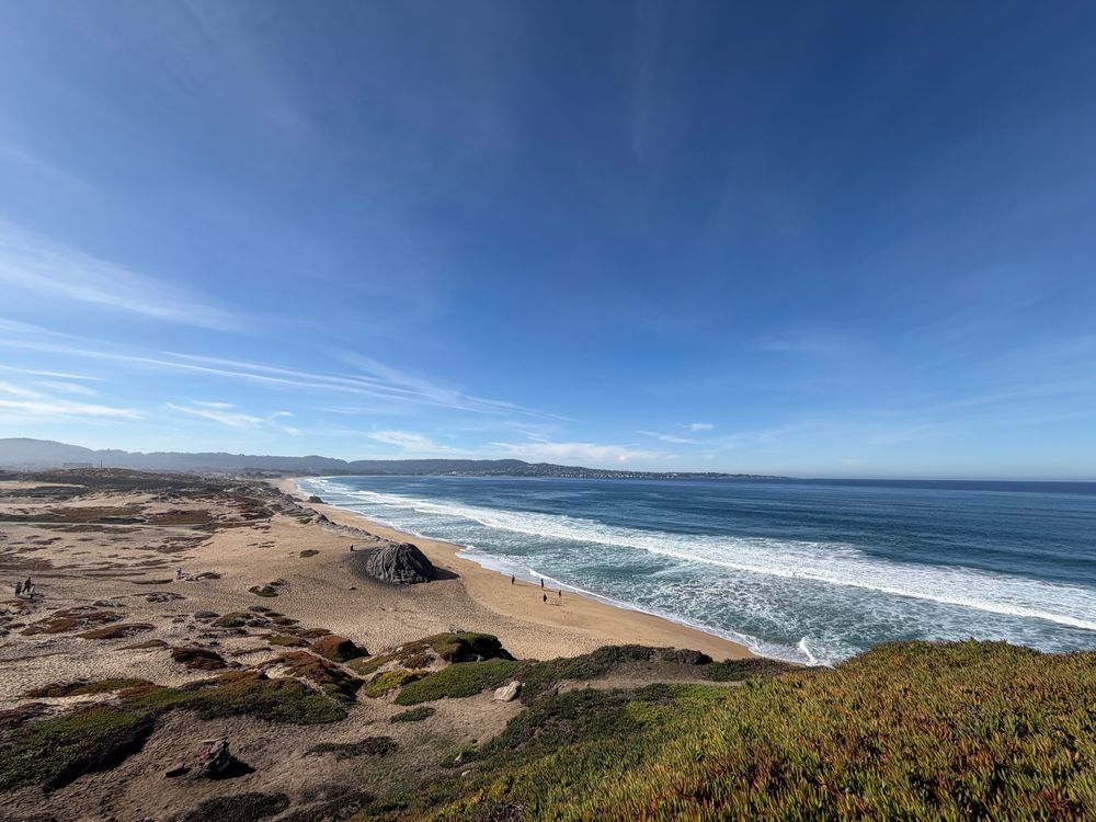 The waves gently break on Del Monte Beach in Monterey CA. There are dunes in the foreground and the blue sky overhead.