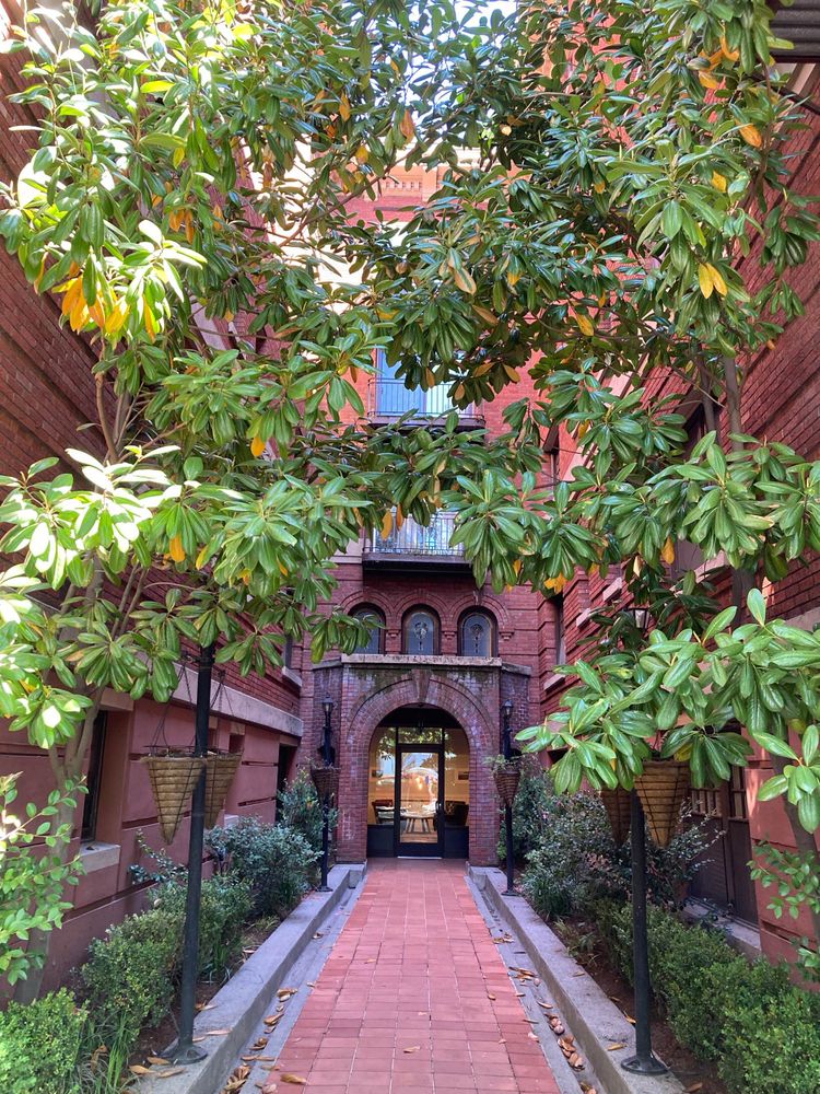 view of a housing building on a sunny day. looking towards a door with two wings forming an aisle. glossy green foliage. deep red brick. feels collegial. 