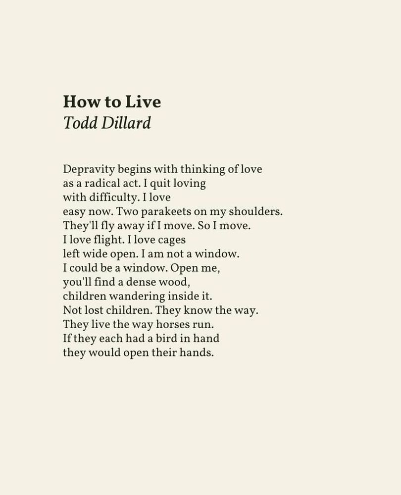 How to Live

Depravity begins with thinking of love

as a radical act. I quit loving 

with difficulty. I love 

easy now. Two parakeets on my shoulders.

They'll fly away if I move. So I move.

I love flight. I love cages 

left wide open. I am not a window.

I could be a window. Open me,

you'll find a dense wood,

children wandering inside it.

Not lost children. They know the way.

They live the way horses run.

If they each had a bird in hand

they would open their hands.