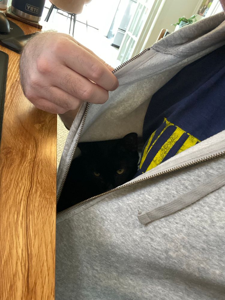 my cat Kiki curled up inside the hoodie I am currently wearing 