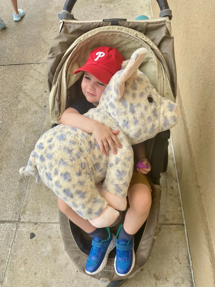 my toddler holding a giant stuffed pig the same size as him 