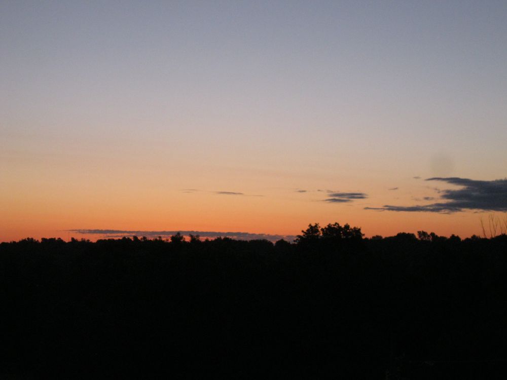 a twilight sky over a forest's silhouette. Canton, NY. 2014