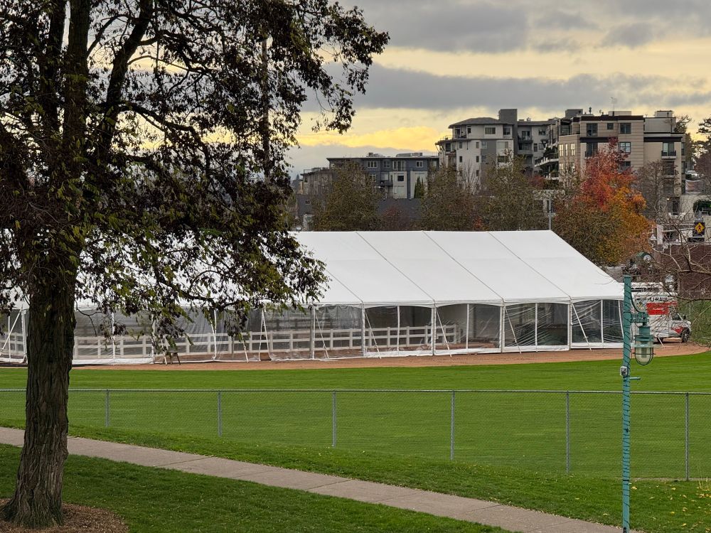 A large white event tent stands on a grassy sports field, with clear plastic side panels and white support poles. A tall tree with sparse brown leaves frames the left side of the image. In the background, autumn-colored trees and mid-rise apartment buildings sit under a cloudy evening sky with a strip of pale yellow light near the horizon. A chain-link fence runs along the edge of the field in the foreground.