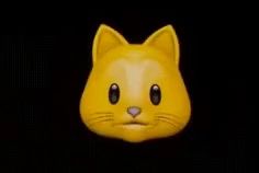 a close up of a yellow cat face on a black background