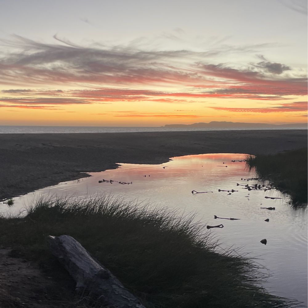 A sunset on the beach
