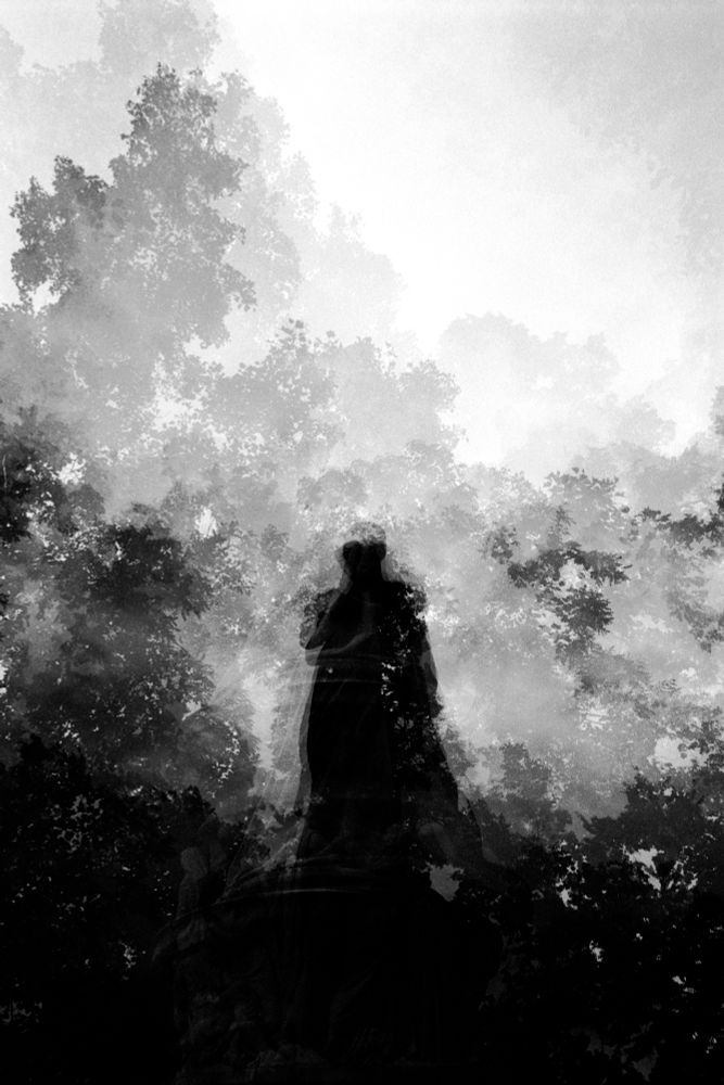 A blurry person stands in the middle of the frame, surrounded by dark treetops that fade towards the top of the frame
