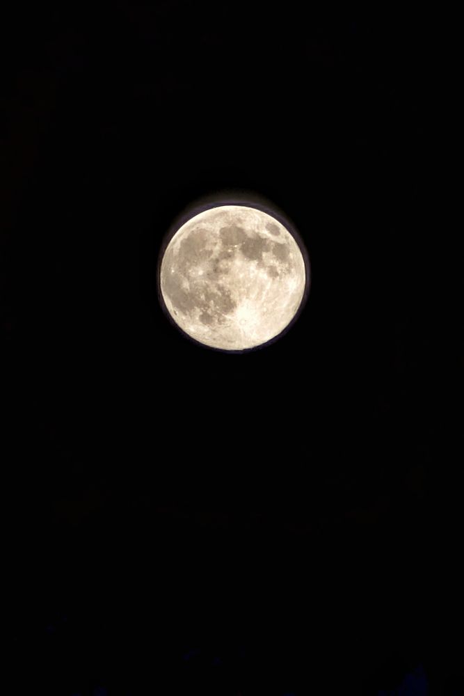 The full moon of 25/12/4