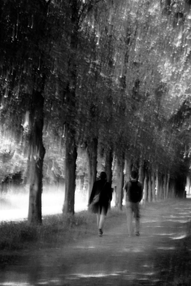 Two persons are walking side by side down an avenue, a path to the left is made of wavering light, puddles of steaming light scattered on theirs. Liquid light streaks float above in treetops