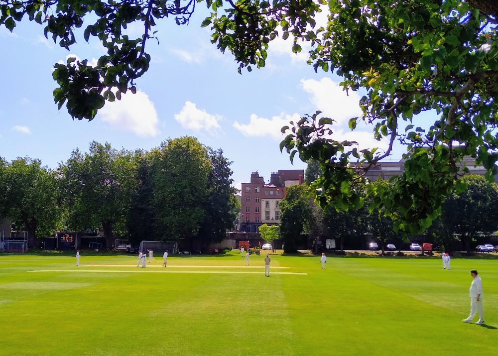 Scene of a Cricket Match.