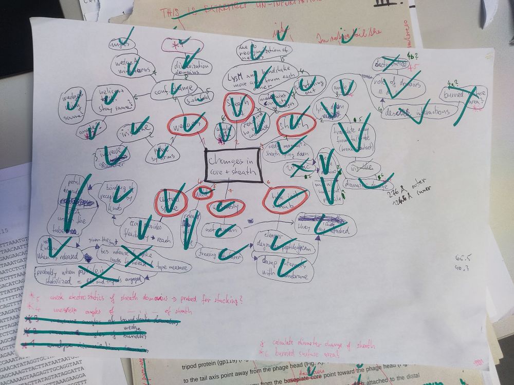 The image is a mind map drawn on white paper, used for organizing thoughts before writing a paragraph. It contains various interconnected words and phrases, with many items circled, underlined, or checked off using green and red pens. Some words and phrases are marked with red circles, possibly indicating key points, while others have green checkmarks denoting completion. Additional notes and arrows are scattered across the sheet, suggesting a workflow for developing ideas. The lower section includes handwritten notes in red and green ink, outlining tasks like measuring angles, verifying structures, and calculating specific parameters.