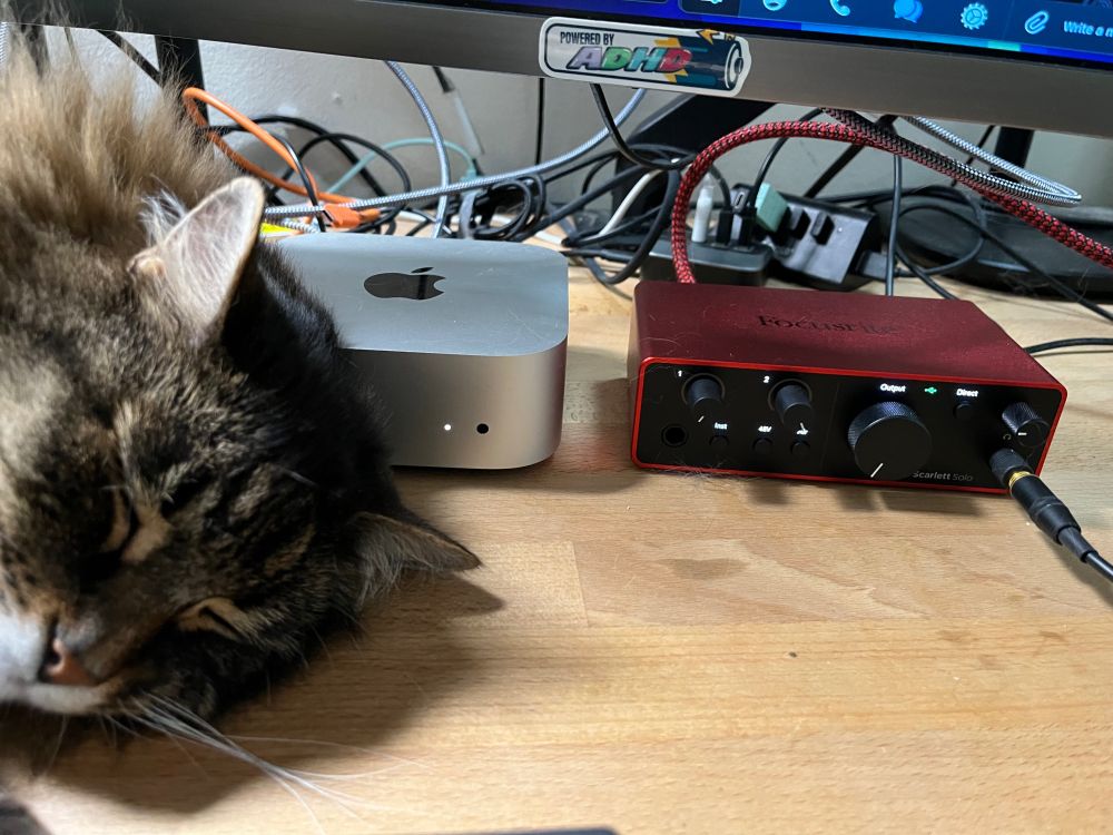 Mac mini and the cat sleeping