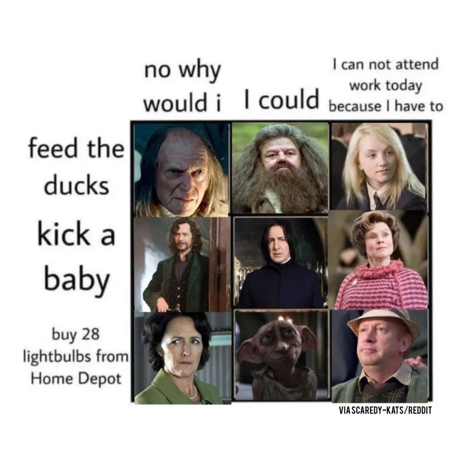 Amusing Harry Potter graphic