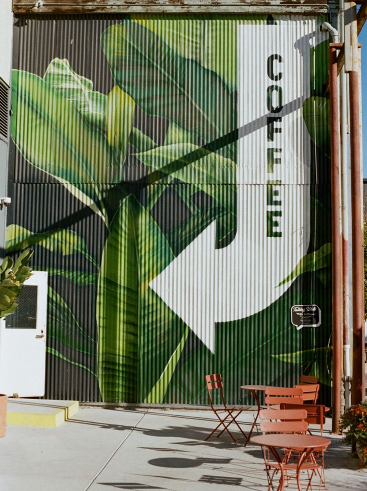 Large mural of green plants and coffee sign painted on corrugated metal wall with outdoor seating