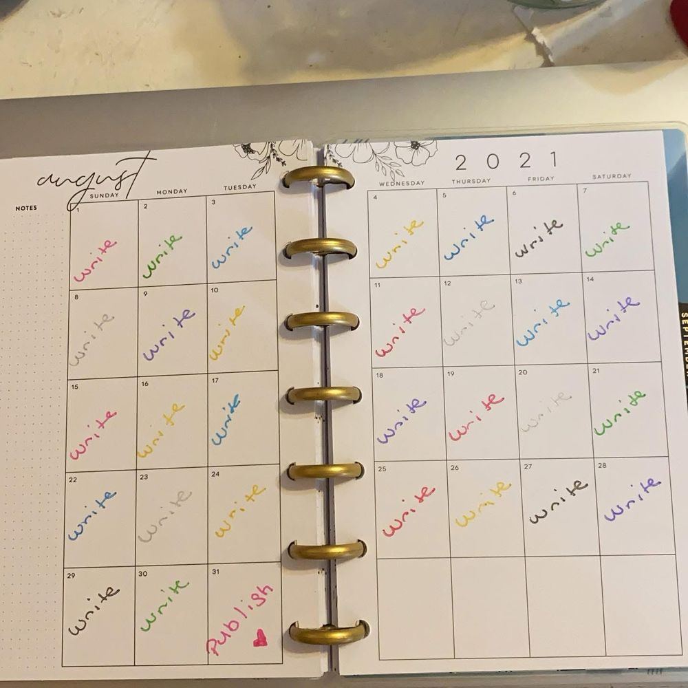Write all month and publish first novel 