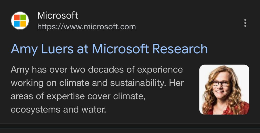 Author Amy Lures’s bio at Microsoft (her employer)