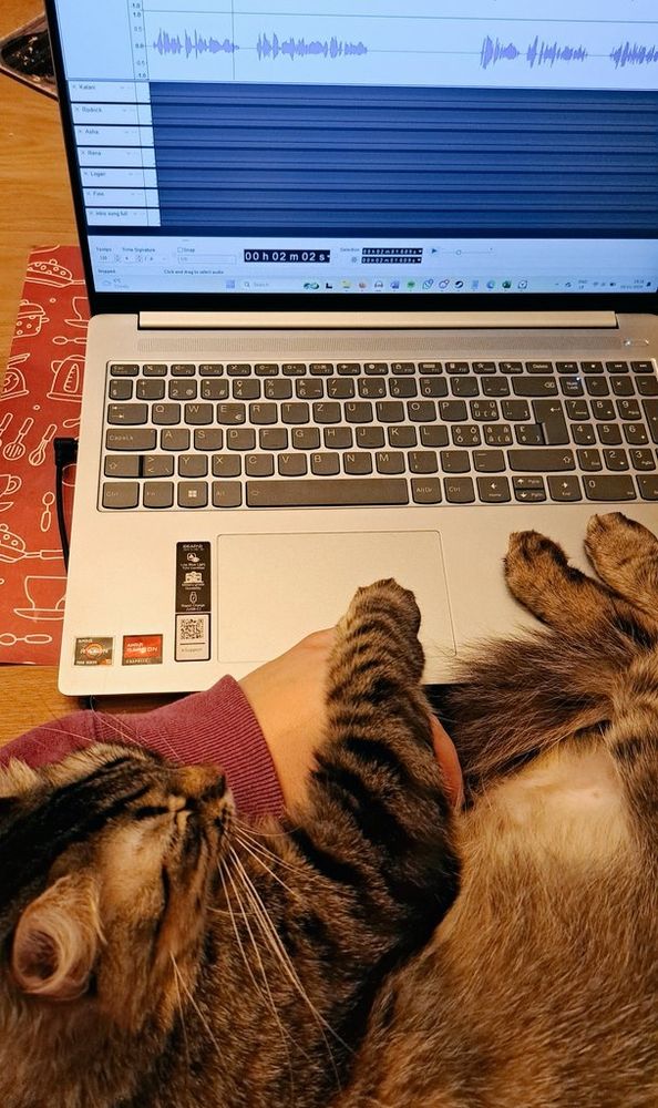Small tabby cat sleeping in my arms in front of a laptop where Audacity is open.