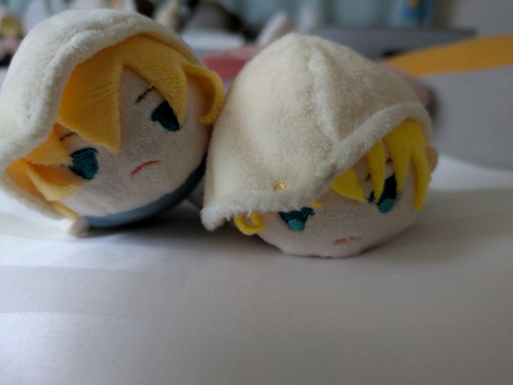 もちんばせんぱいがこうはいを寝かしつけている様子