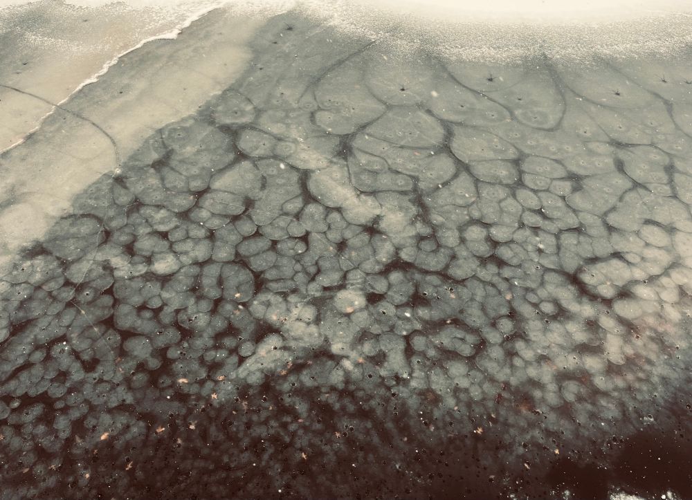 Frozen river photographed from above with air bubbles trapped under the ice 