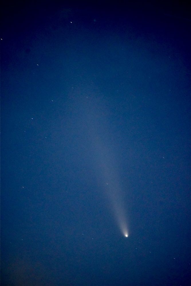 紫金山・アトラス彗星