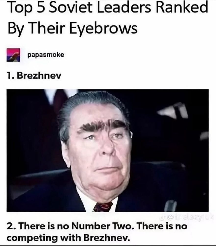 Image depicting Leoned Brezhnev mocking his exceptional eye brows.