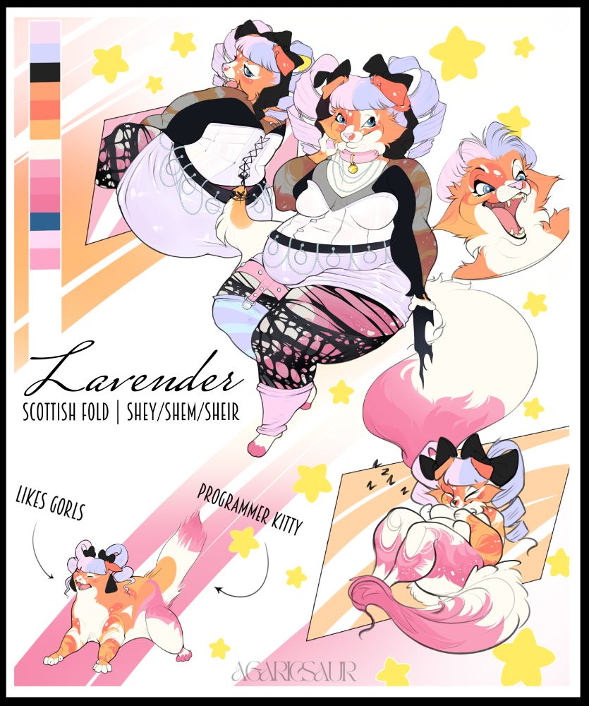 A reference sheet of a calico Scottish Fold cat fursona with pastel lesbian flag coloring. There are five different versions of the fursona, including a front view, back view, a smiling version of the head, a sleeping version, and a feral version. The text reads "Lavender (referring to the fursona's name). Scottish Fold (referring to the fursona's breed/species). Shey/Shem/Sheir (referring to the fursona's pronouns). Likes gorls (meaning girls) and programmer kitty (referring to the fursona's sexual orientation and hobbies)."