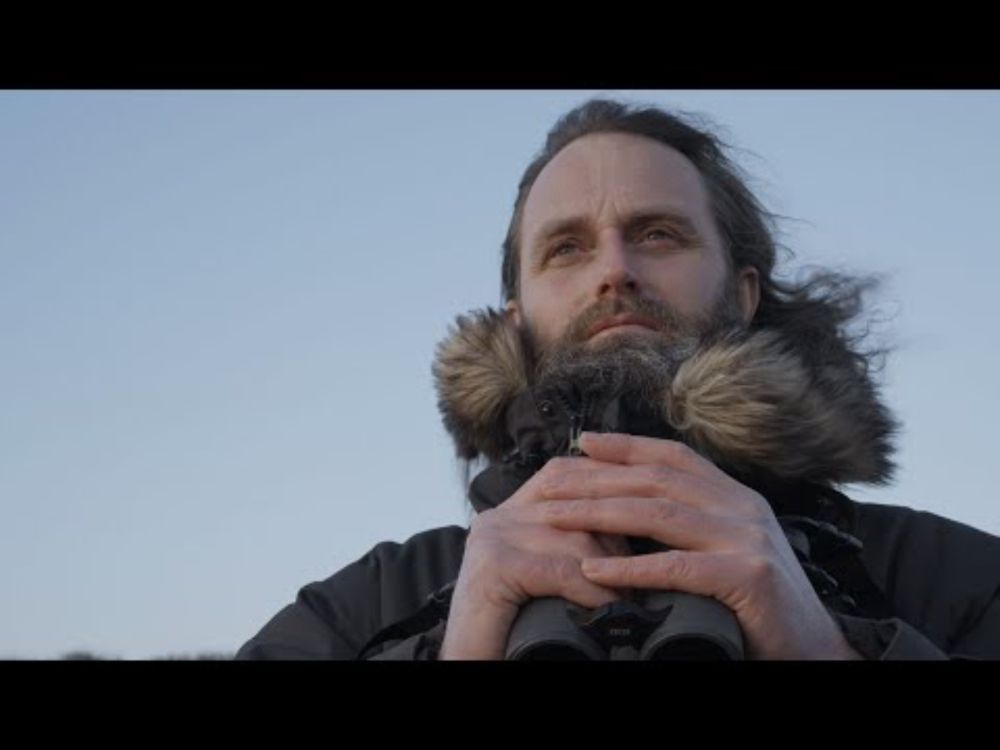 Counting Orca | Trailer