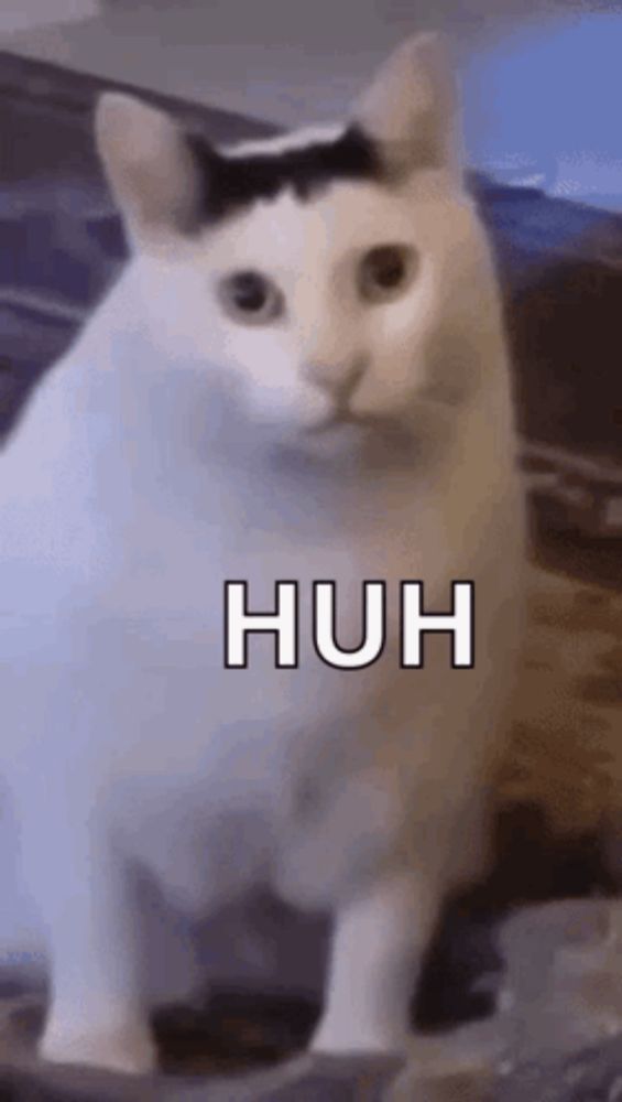 a white cat with a black spot on its head is sitting on a table and looking at the camera .