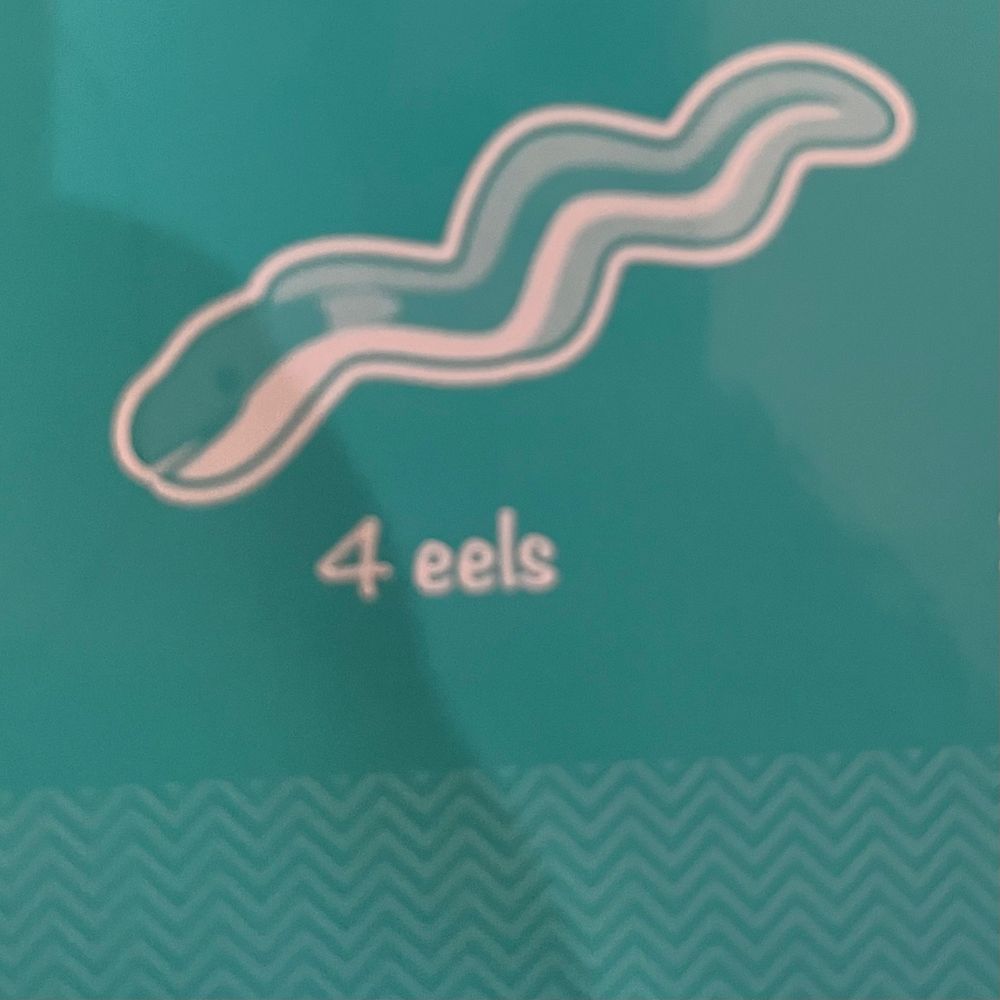A drawing of an eel labeled 4 eels