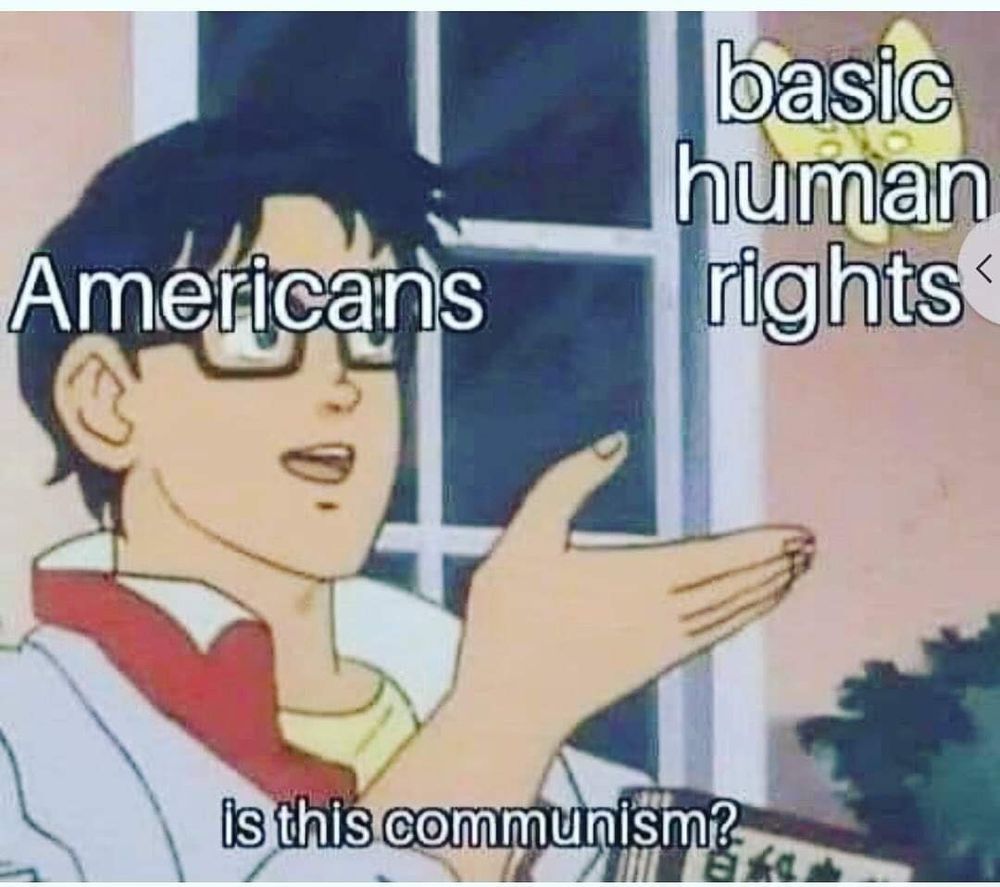 meme format where a man from an anime is looking at a butterfly and asks if it's a pigeon, but instead the man is Americans, the butterfly is labeled "basic human rights” and the quote is "is this communism?"