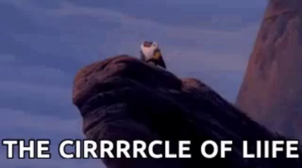 a bird sitting on top of a rock with the words " the cirrrrcle of liife " above it